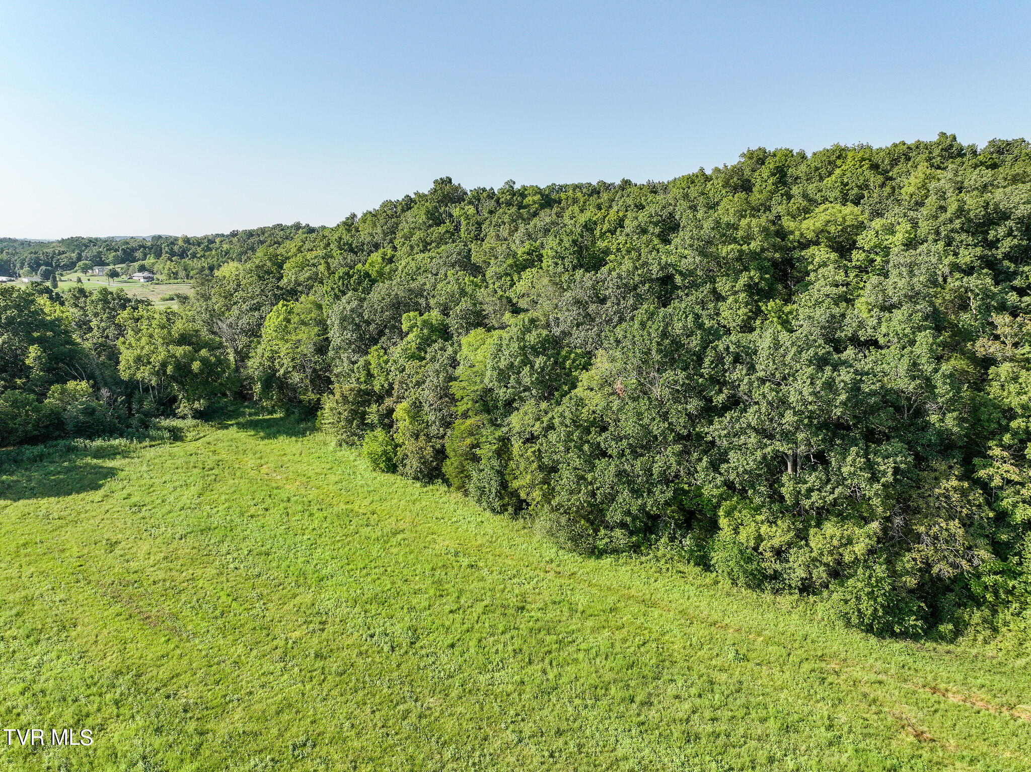 59.06-acre Flea Ridge Road Mohawk, TN 37810 - Photo 23 of 40 DJI_20240811053524_0995_D