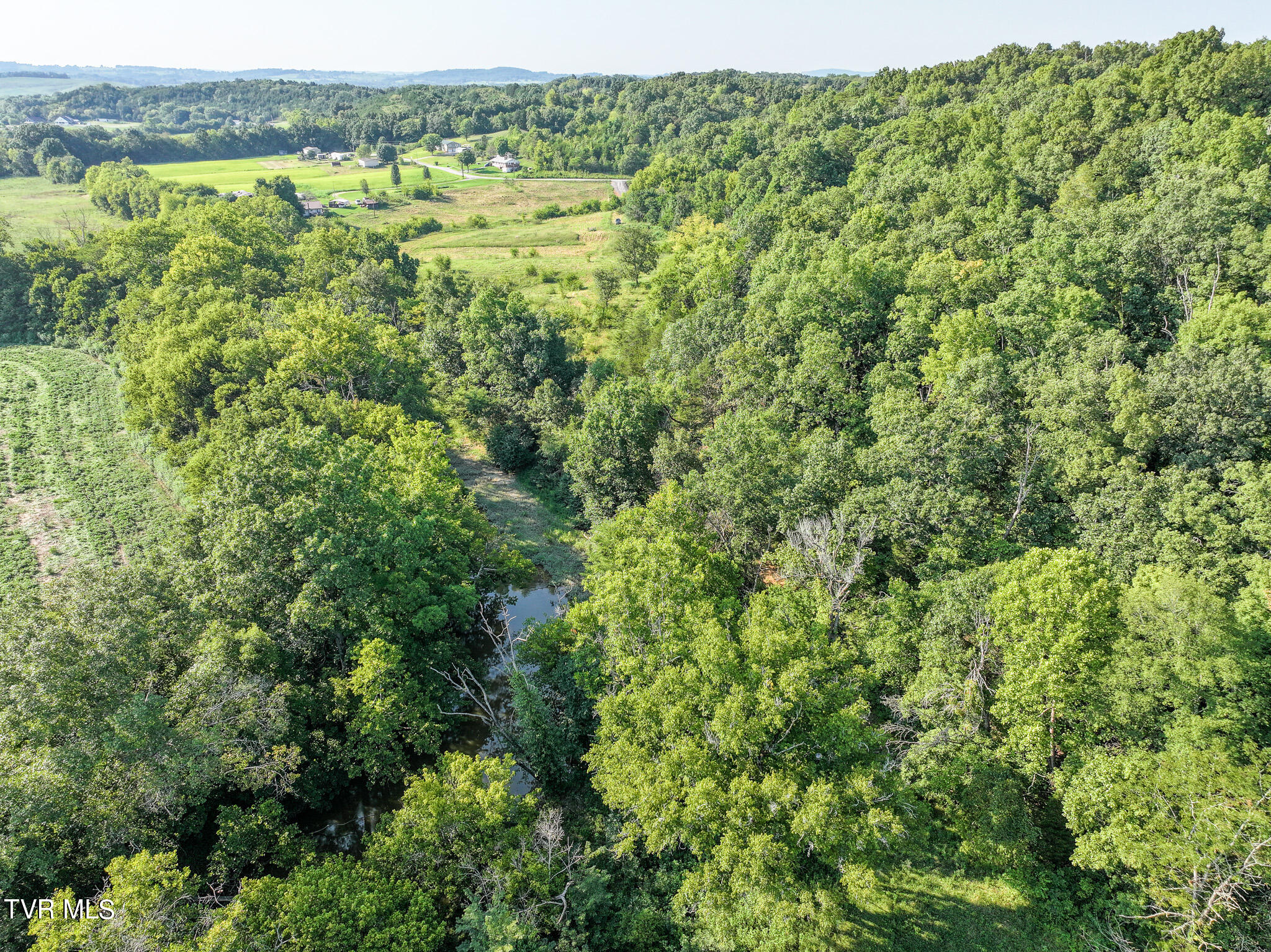 59.06-acre Flea Ridge Road Mohawk, TN 37810 - Photo 24 of 40 DJI_20240811053611_0996_D