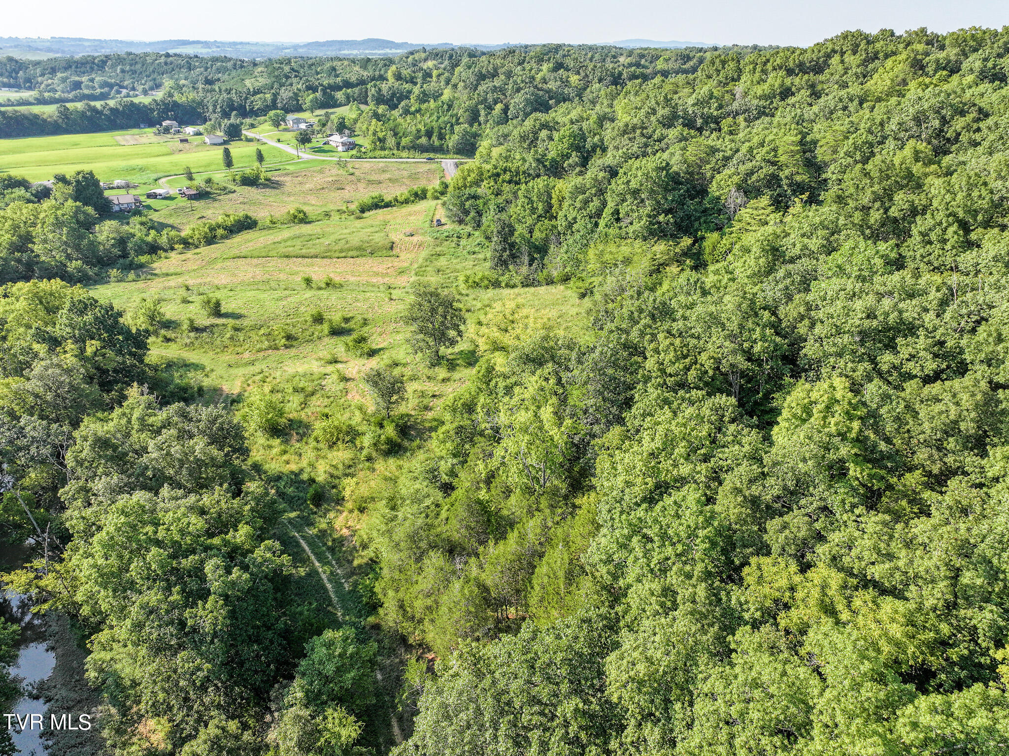 59.06-acre Flea Ridge Road Mohawk, TN 37810 - Photo 25 of 40 DJI_20240811053658_0002_D