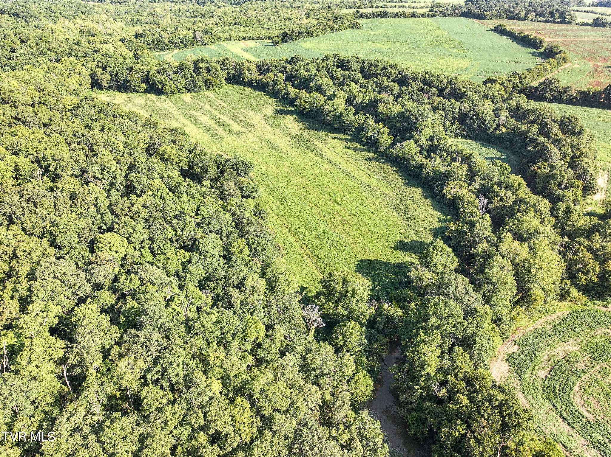 59.06-acre Flea Ridge Road Mohawk, TN 37810 - Photo 26 of 40 DJI_20240811053721_0004_D
