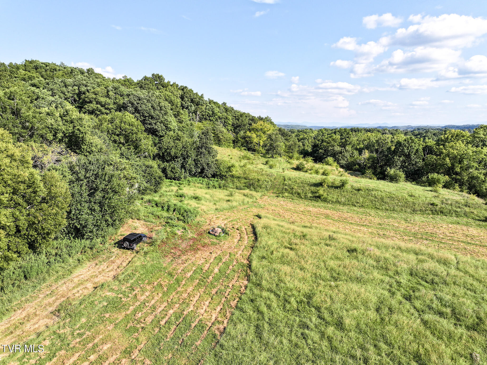 59.06-acre Flea Ridge Road Mohawk, TN 37810 - Photo 27 of 40 DJI_20240811053750_0005_D