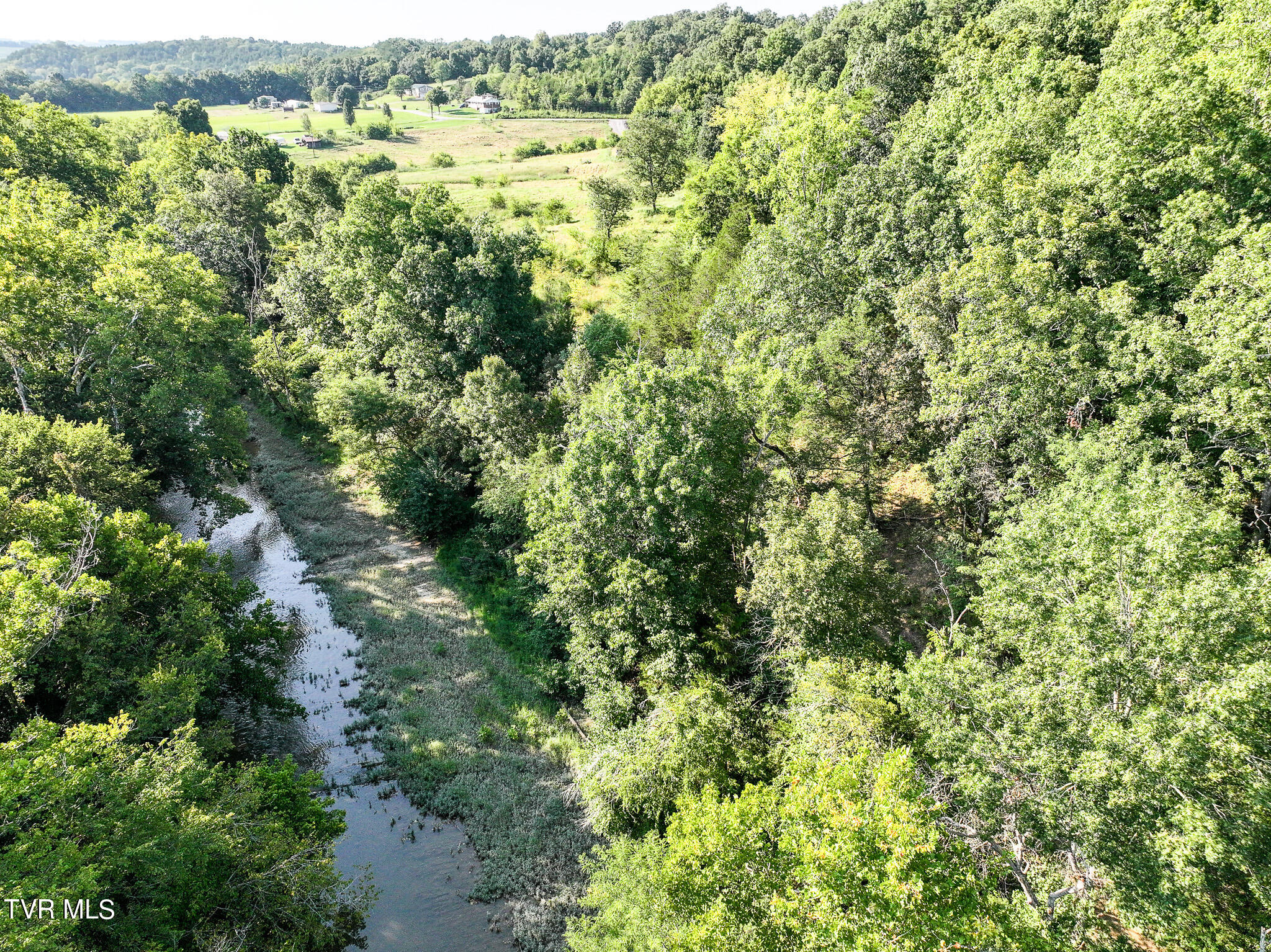 59.06-acre Flea Ridge Road Mohawk, TN 37810 - Photo 29 of 40 DJI_20240811054216_0017_D