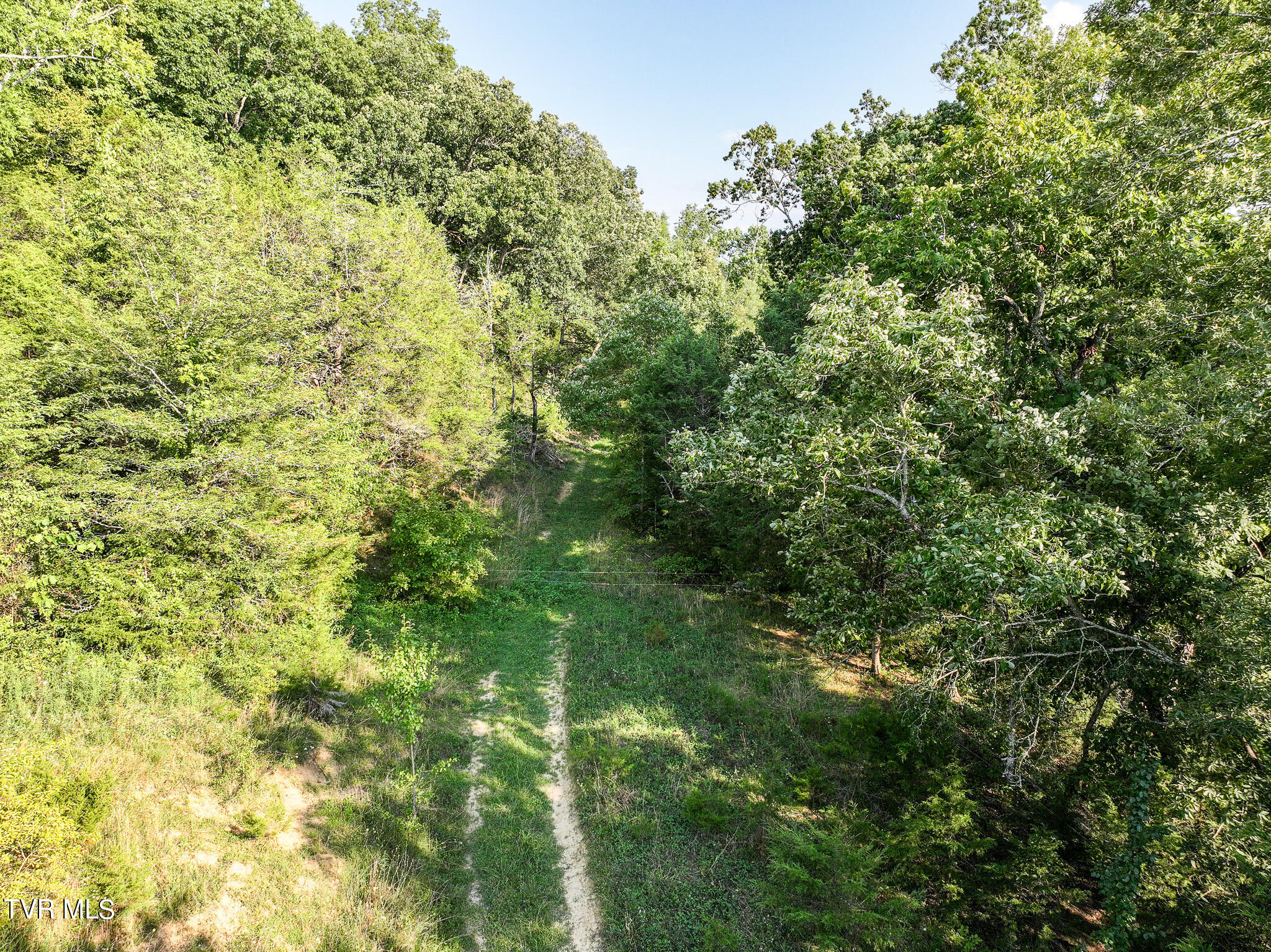 59.06-acre Flea Ridge Road Mohawk, TN 37810 - Photo 30 of 40 DJI_20240811054311_0020_D