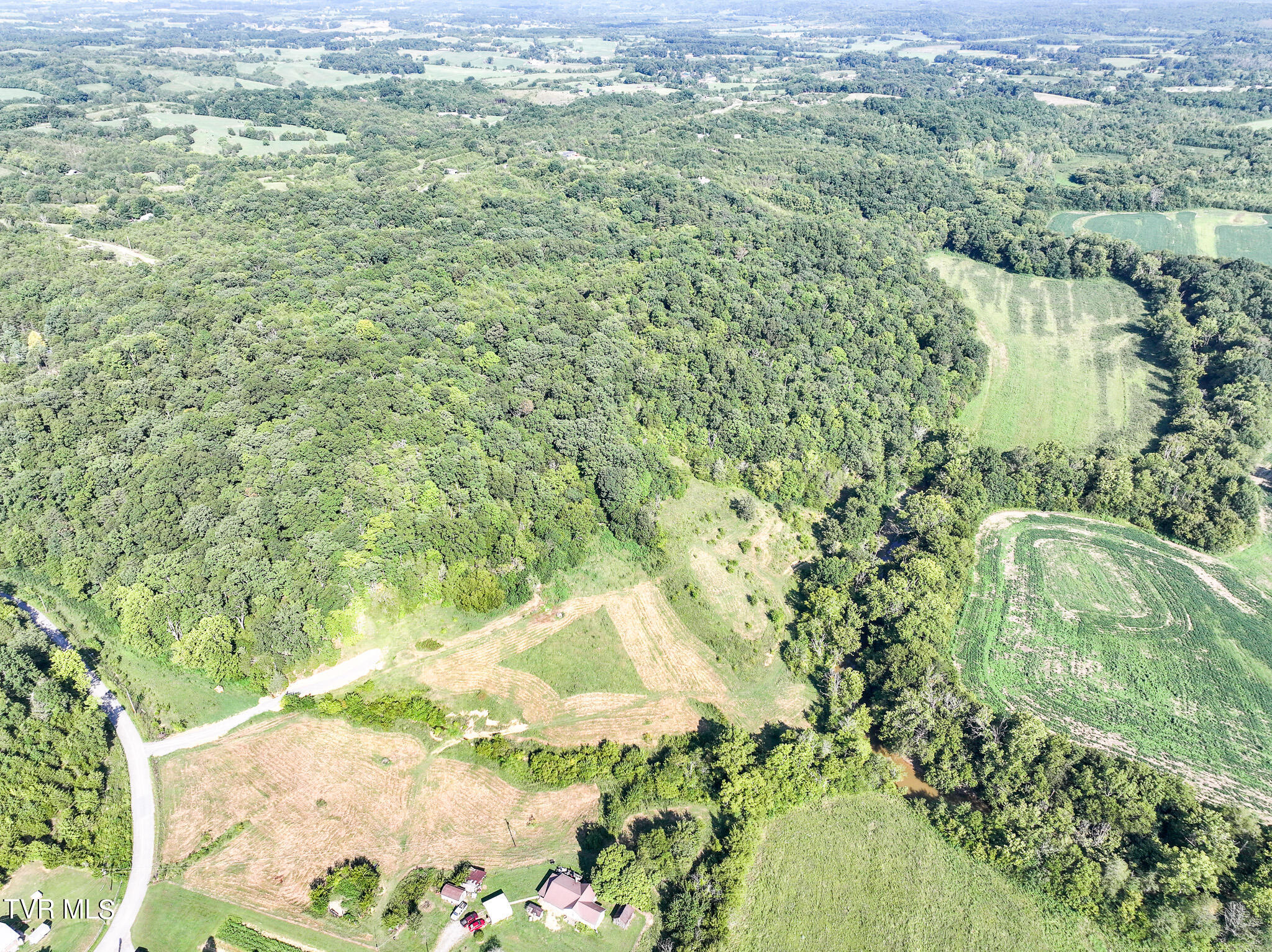 59.06-acre Flea Ridge Road Mohawk, TN 37810 - Photo 3 of 40 DJI_20240811050908_0944_D