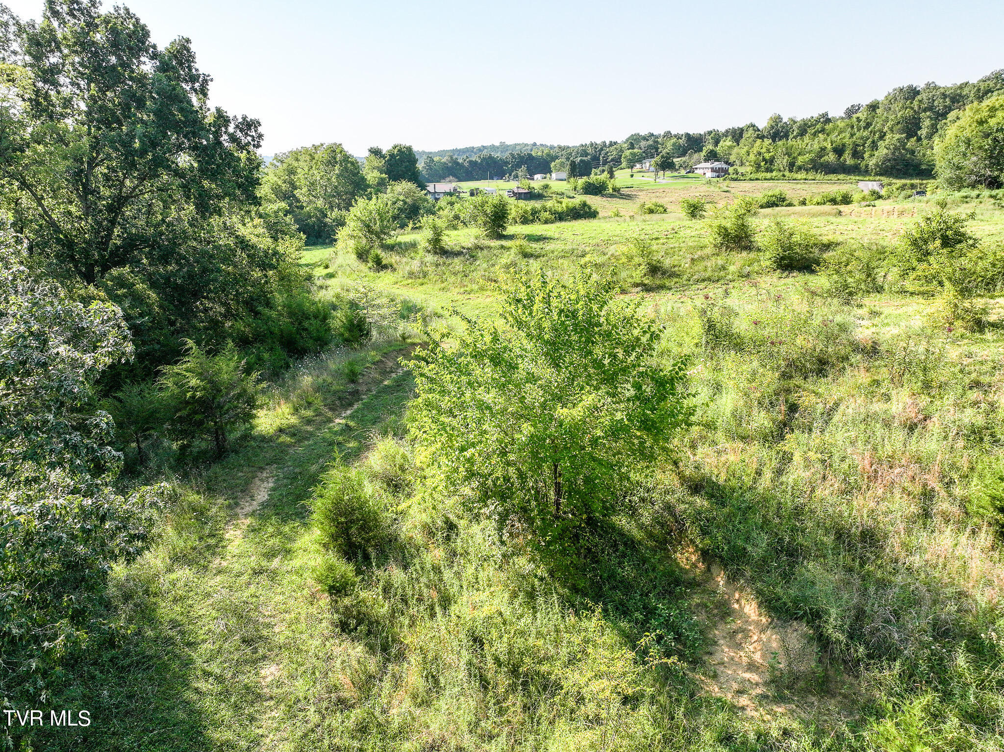 59.06-acre Flea Ridge Road Mohawk, TN 37810 - Photo 31 of 40 DJI_20240811054326_0021_D
