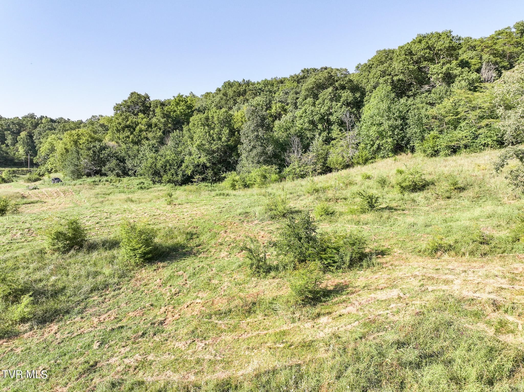 59.06-acre Flea Ridge Road Mohawk, TN 37810 - Photo 33 of 40 DJI_20240811054343_0023_D