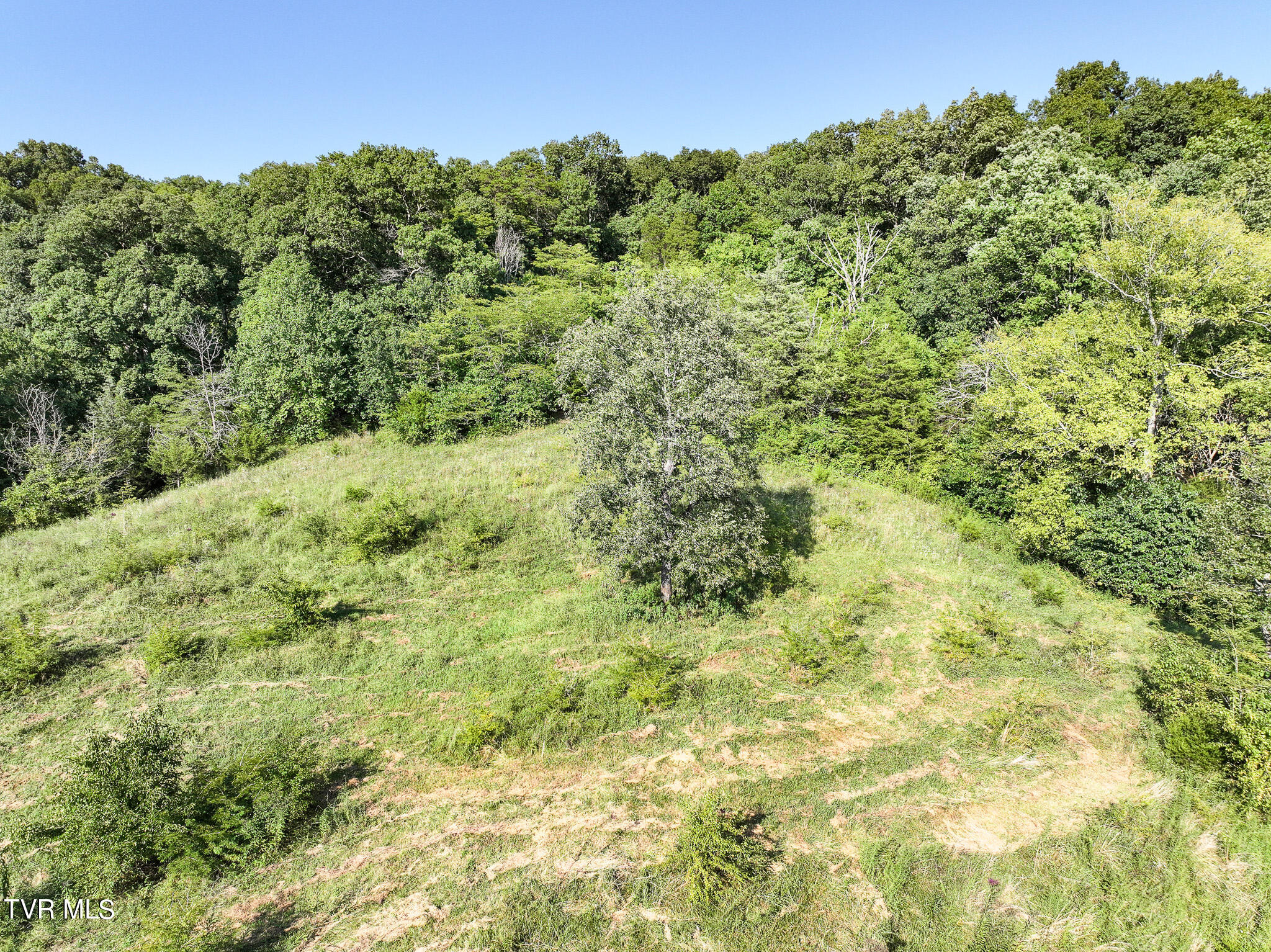 59.06-acre Flea Ridge Road Mohawk, TN 37810 - Photo 34 of 40 DJI_20240811054350_0024_D