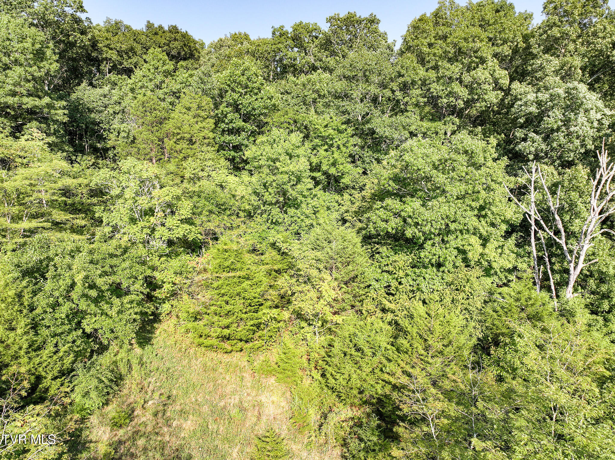 59.06-acre Flea Ridge Road Mohawk, TN 37810 - Photo 36 of 40 DJI_20240811054423_0027_D