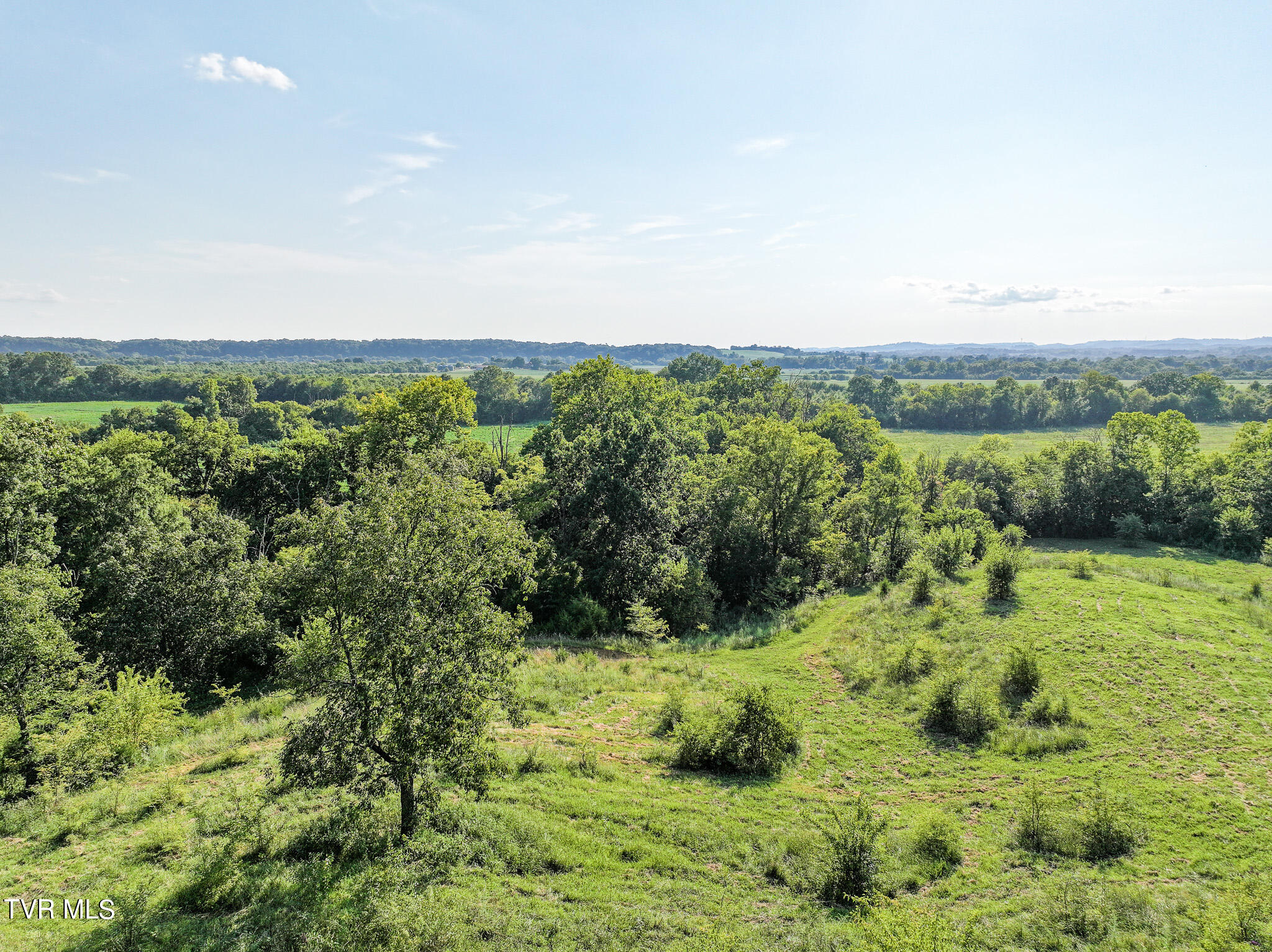 59.06-acre Flea Ridge Road Mohawk, TN 37810 - Photo 37 of 40 DJI_20240811054439_0028_D