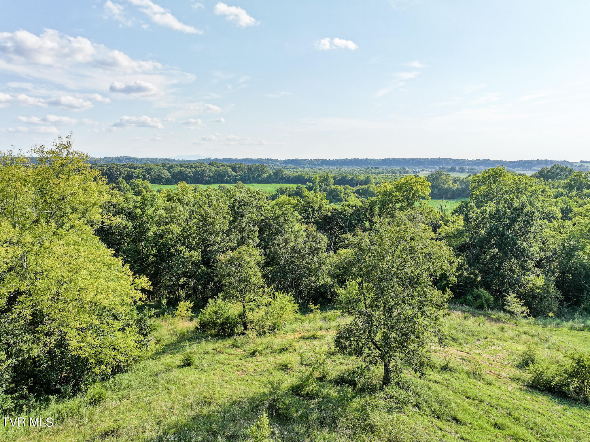 59.06-acre Flea Ridge Road Mohawk, TN 37810 - Photo 38 of 40 DJI_20240811054443_0029_D