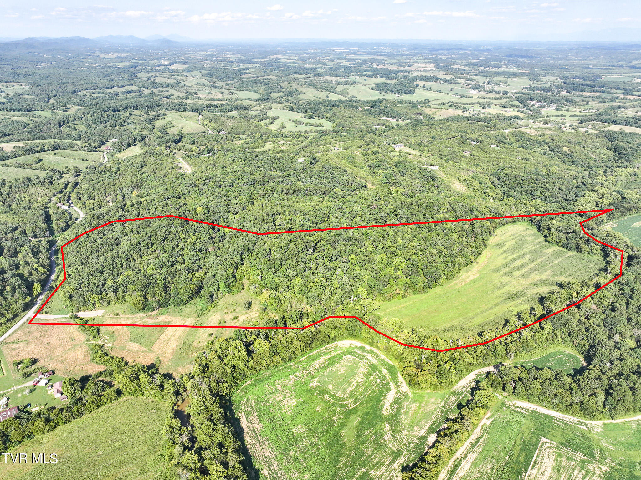 59.06-acre Flea Ridge Road Mohawk, TN 37810 - Photo 4 of 40 DJI_20240811051004_0945_D-Edit