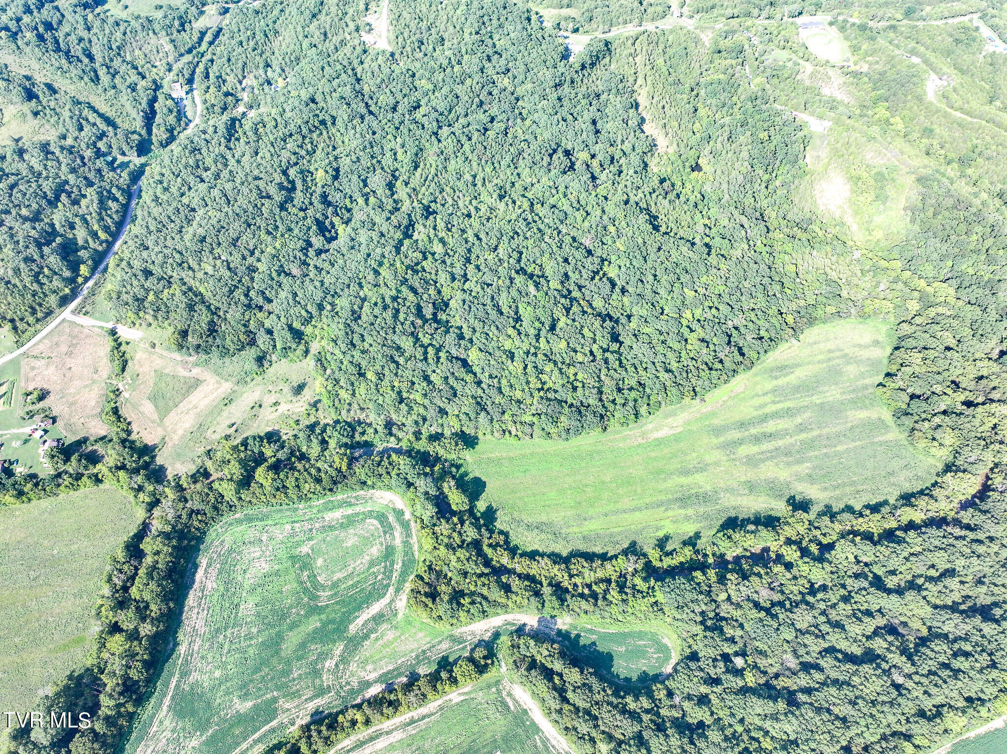 59.06-acre Flea Ridge Road Mohawk, TN 37810 - Photo 5 of 40 DJI_20240811051121_0946_D