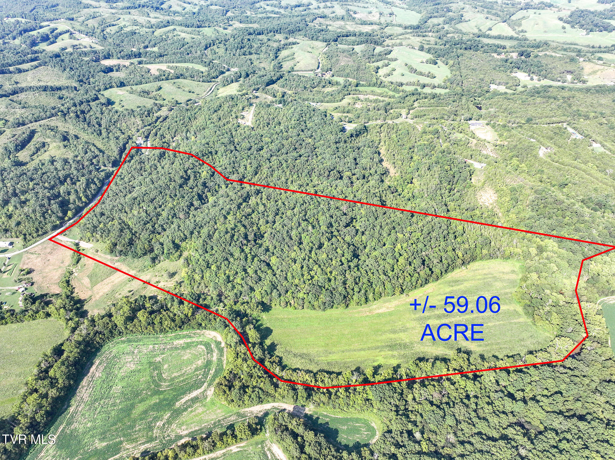 59.06-acre Flea Ridge Road Mohawk, TN 37810 - Photo 6 of 40 DJI_20240811051150_0948_D-Edit