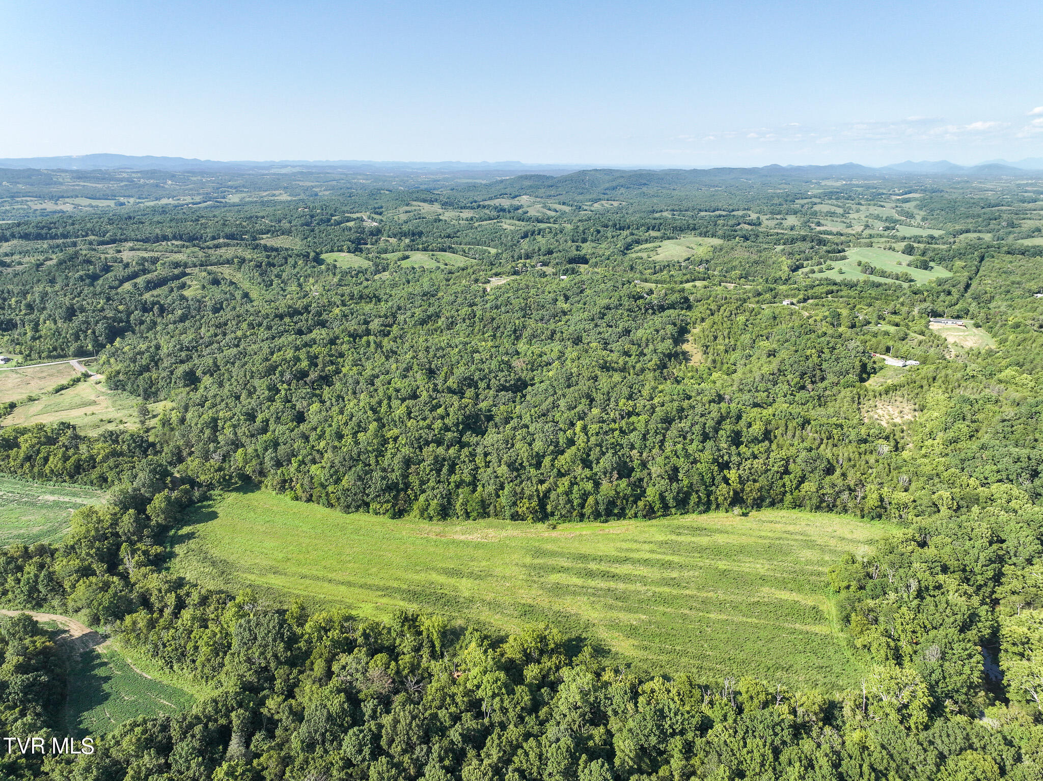 59.06-acre Flea Ridge Road Mohawk, TN 37810 - Photo 7 of 40 DJI_20240811051253_0952_D