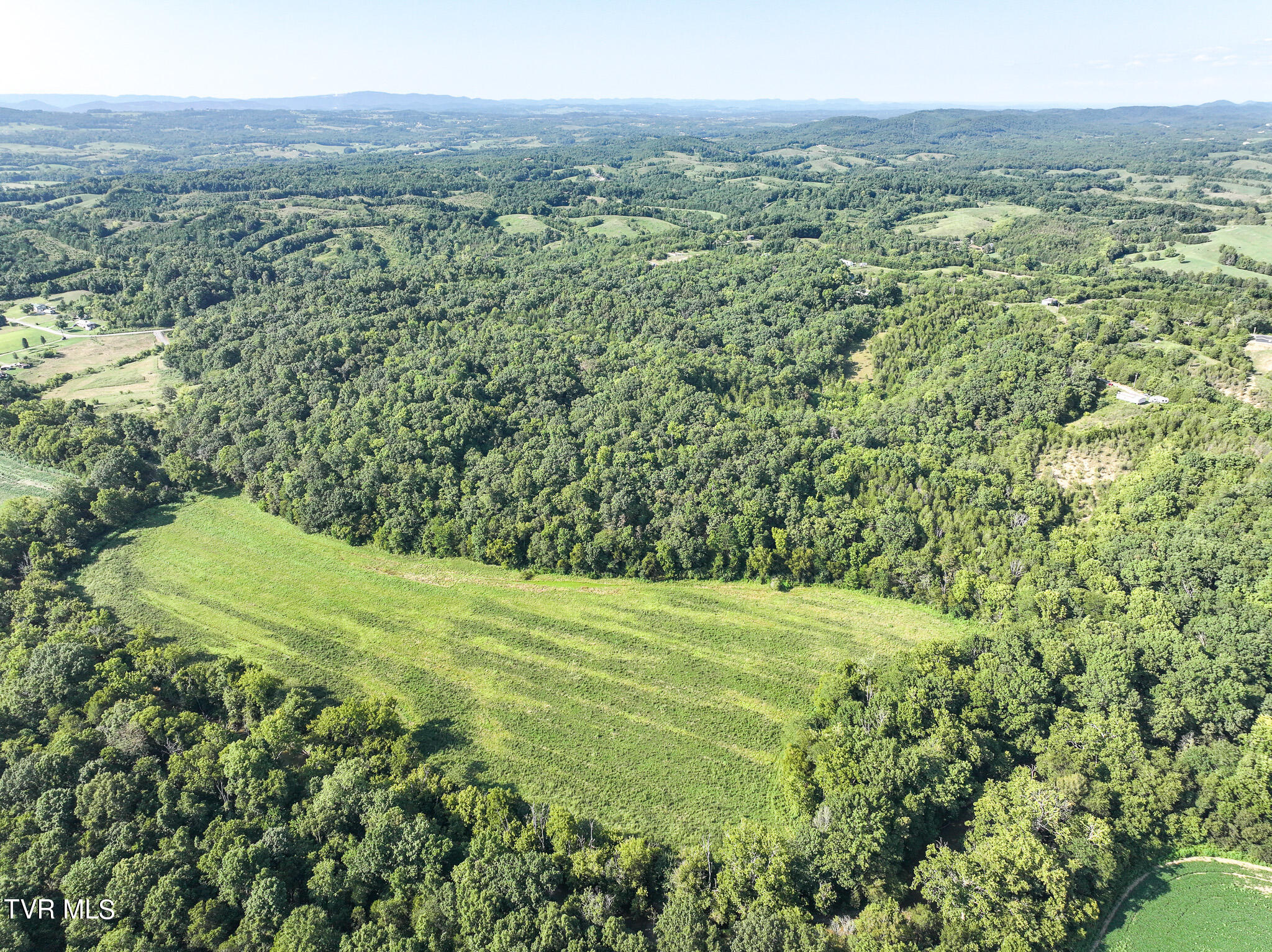 59.06-acre Flea Ridge Road Mohawk, TN 37810 - Photo 8 of 40 DJI_20240811051310_0953_D
