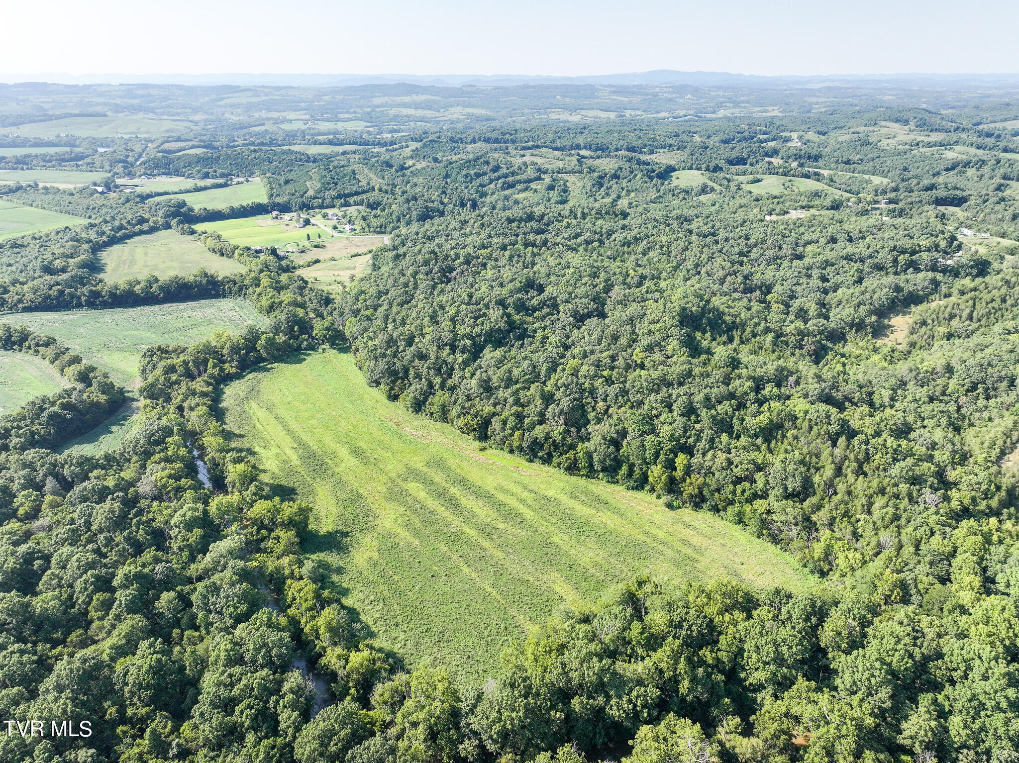59.06-acre Flea Ridge Road Mohawk, TN 37810 - Photo 9 of 40 DJI_20240811051321_0954_D