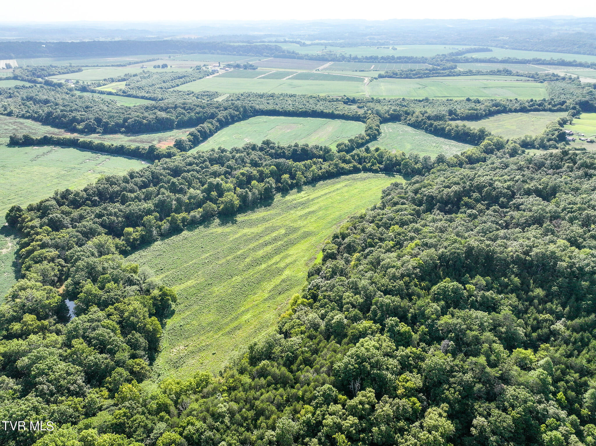 59.06-acre Flea Ridge Road Mohawk, TN 37810 - Photo 10 of 40 DJI_20240811051356_0957_D