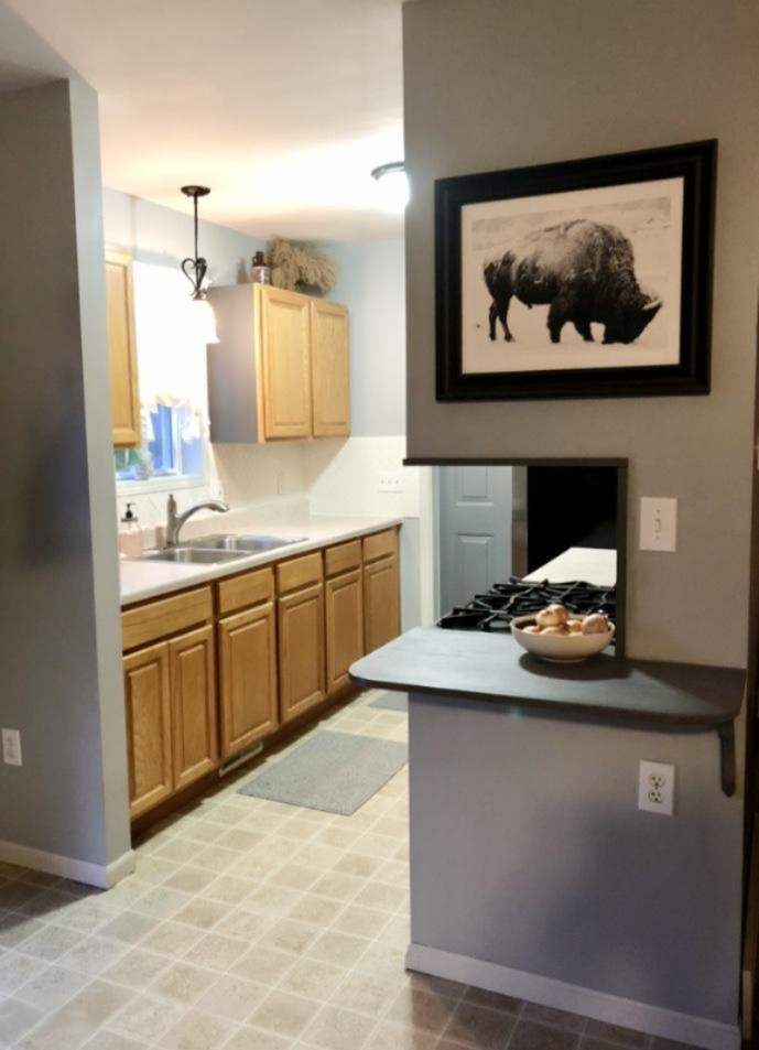 1249 Pinckney Road Saranac, MI 48881 - Photo 15 of 77 IMG-3399