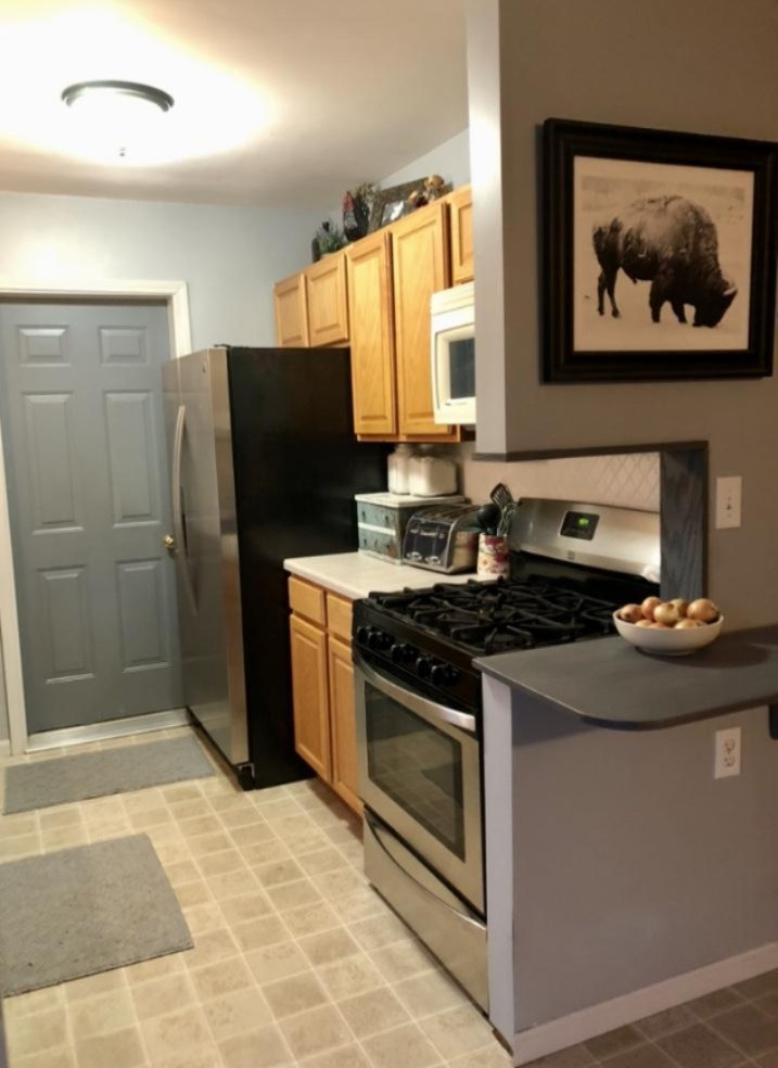 1249 Pinckney Road Saranac, MI 48881 - Photo 16 of 77 IMG-3400