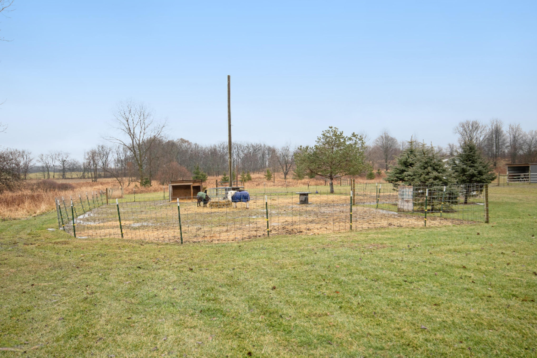 1249 Pinckney Road Saranac, MI 48881 - Photo 43 of 77 IMG_1967