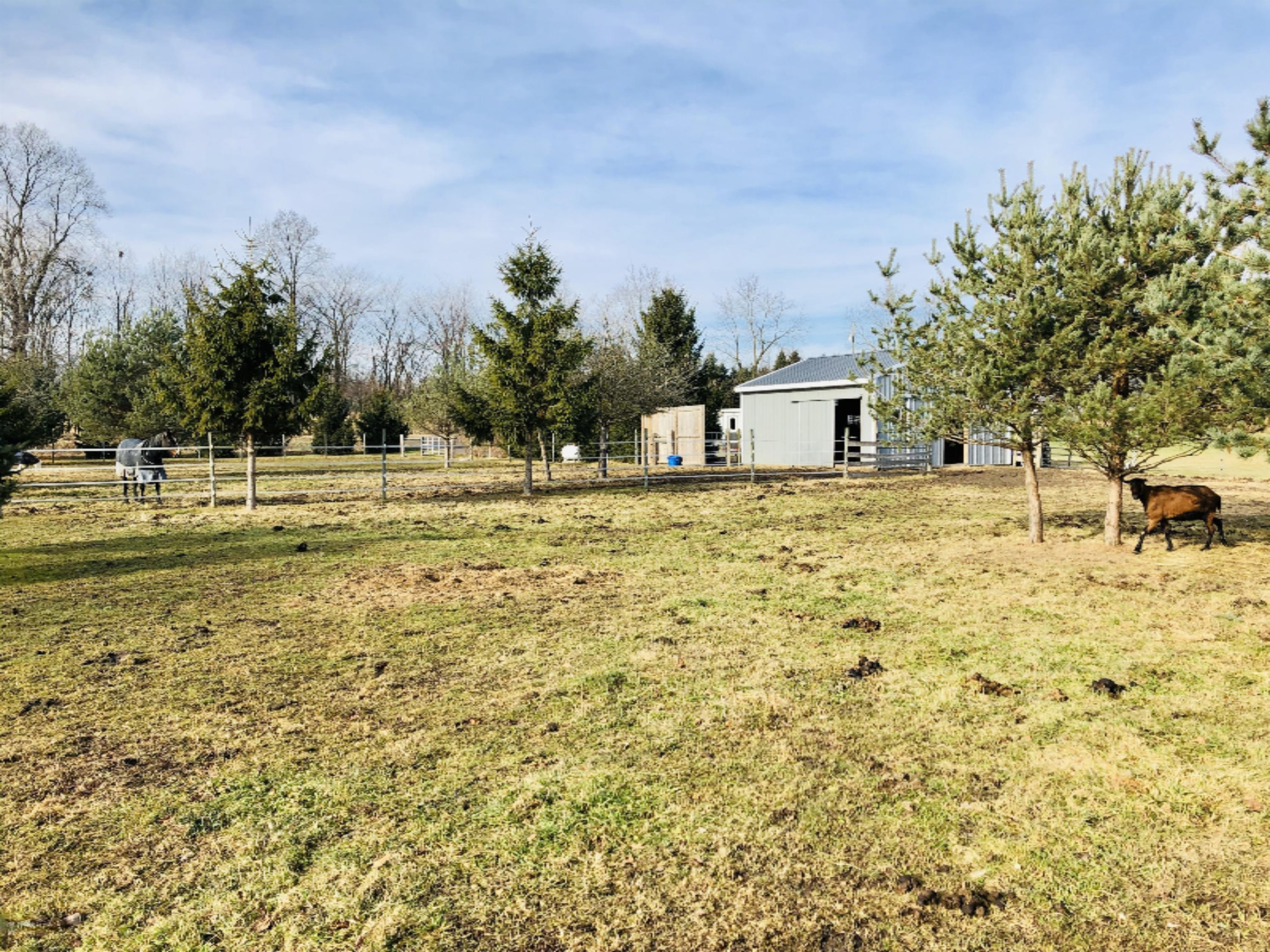 1249 Pinckney Road Saranac, MI 48881 - Photo 46 of 77 IMG-3510