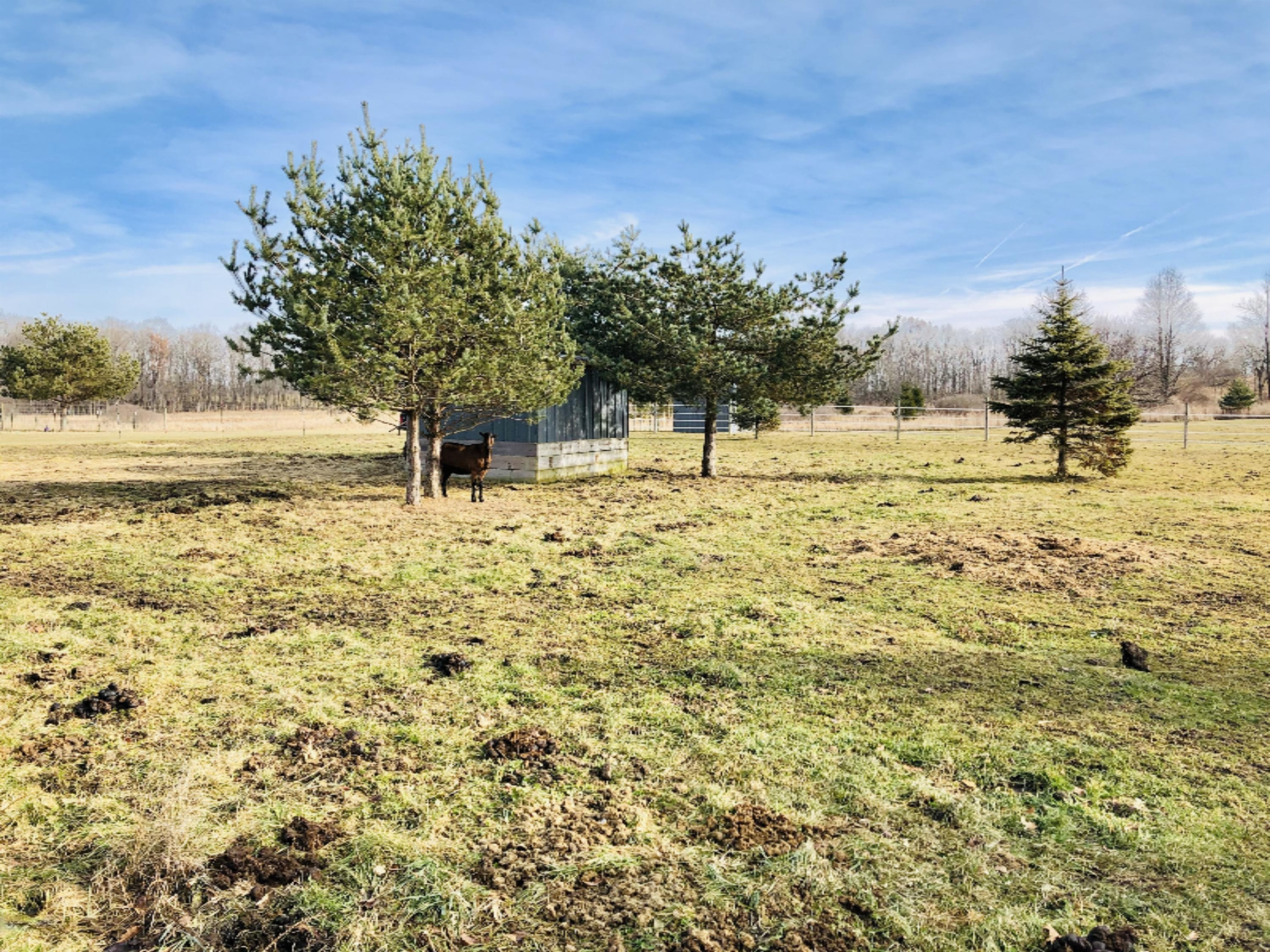 1249 Pinckney Road Saranac, MI 48881 - Photo 47 of 77 IMG-3511