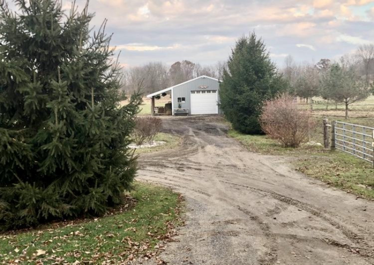 1249 Pinckney Road Saranac, MI 48881 - Photo 73 of 77 IMG-3418