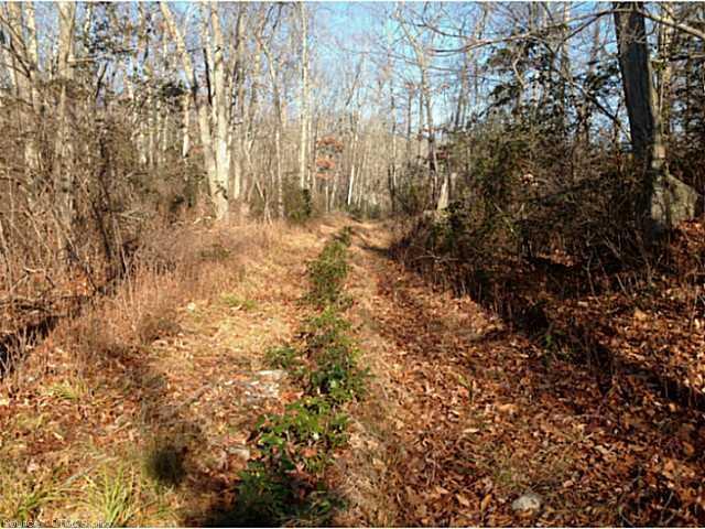 0 Roxbury Road Niantic, CT 06357 - Photo 1 of 1 a view of backyard of house