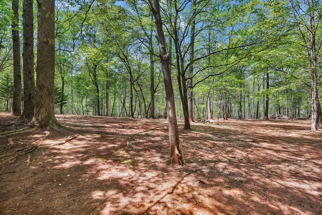 $584,900 | 703 Burnt Tanyard Road, Salem, SC 29676