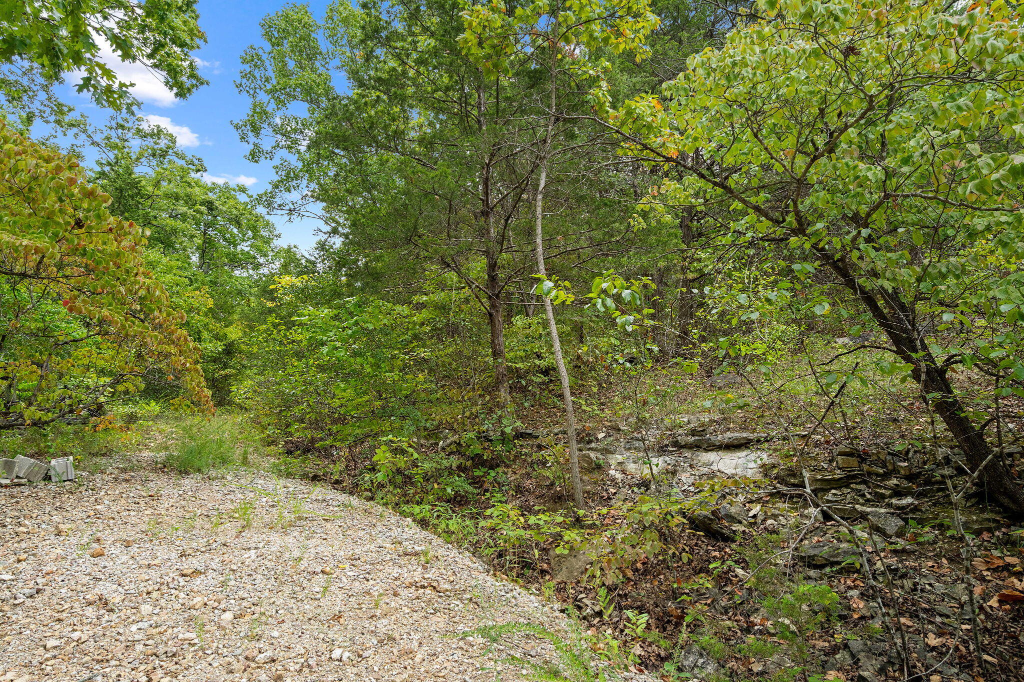 Tbd Green Gables Lane Reeds Spring, MO 65737 - Photo 6 of 38 Tbd-Green-Gables-Ln-Fall-Timber-Lot