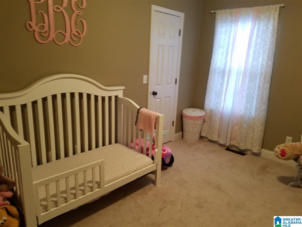 387 Wet Cat Road Hayden, AL 35079 - Photo 5 of 8