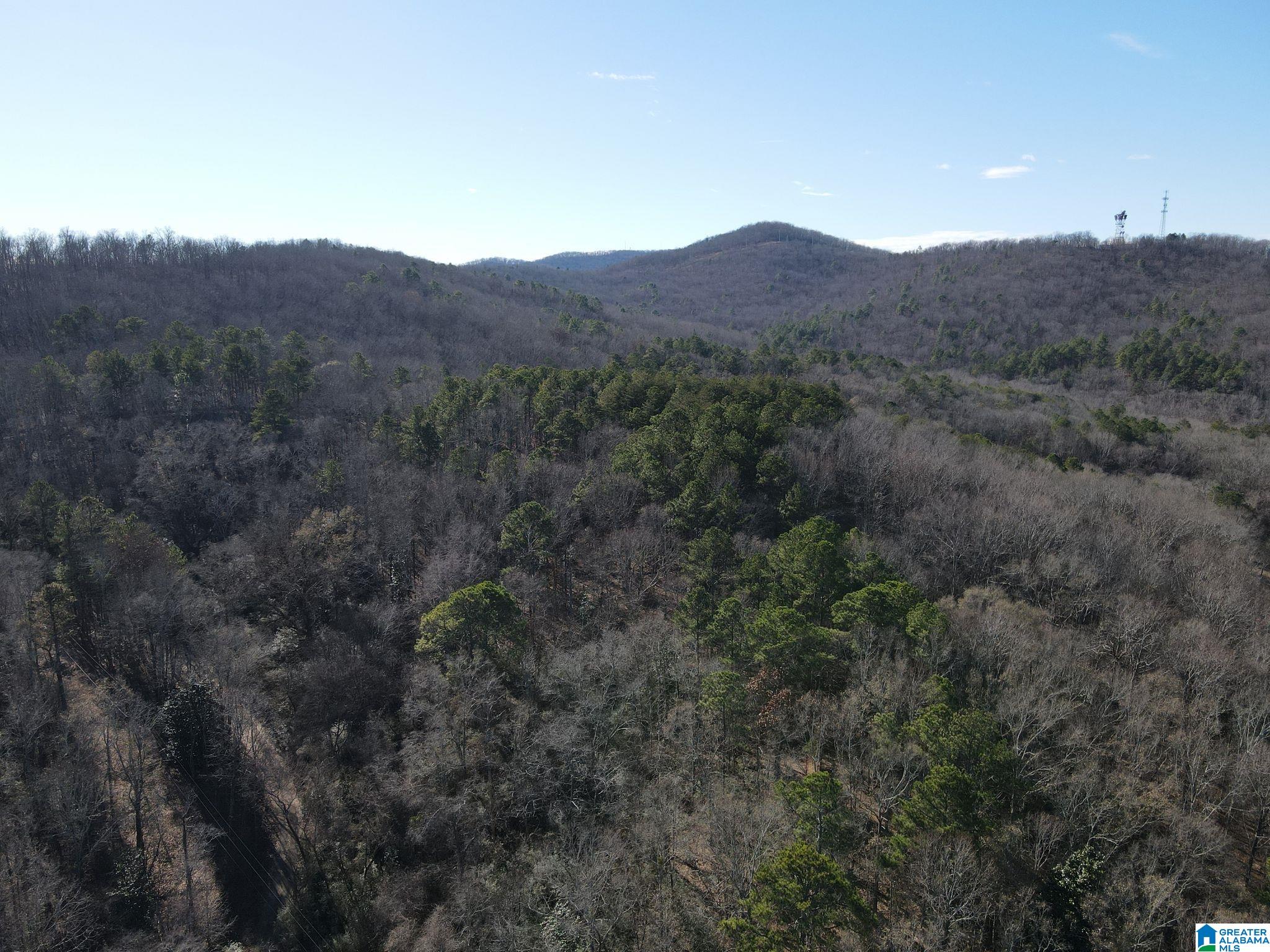 0 West 3rd Street, Unit 1 Anniston, AL 36201 - Photo 3 of 16