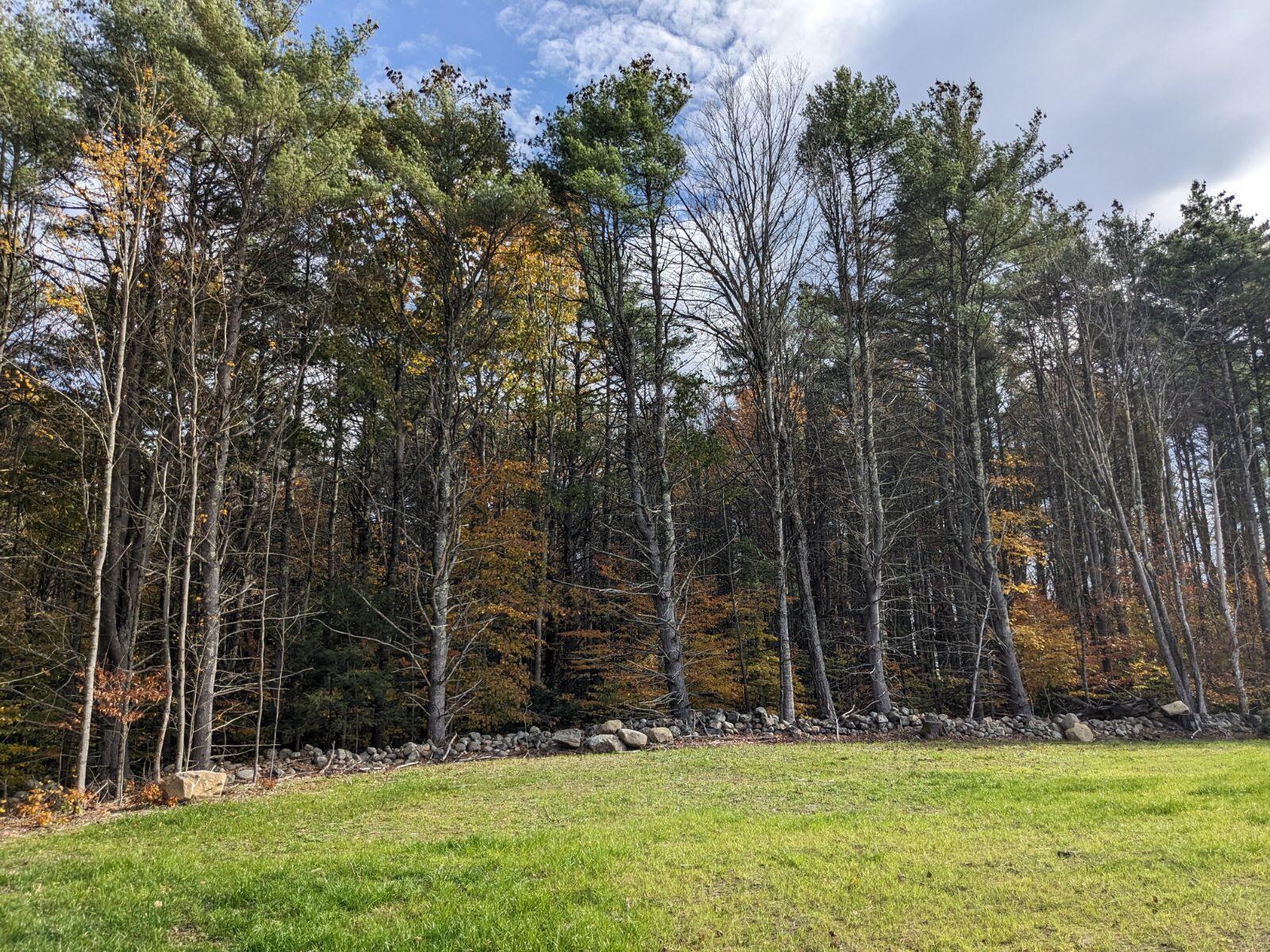 17 Cornington Way Cornish, ME 04020 - Photo 23 of 28 Private backyard