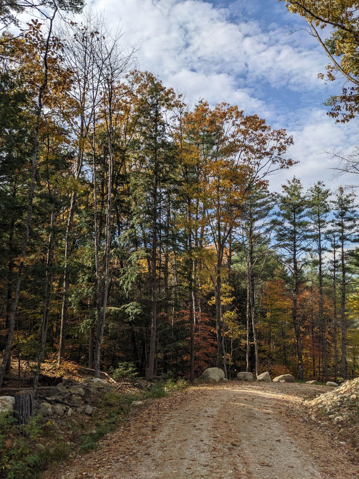 17 Cornington Way Cornish, ME 04020 - Photo 24 of 28 Foliage in driveway