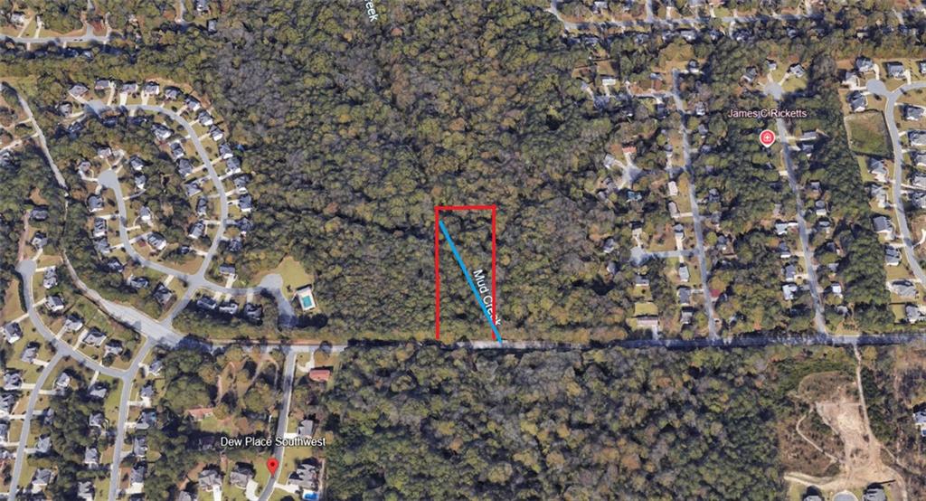 a view of a pathway with a tree