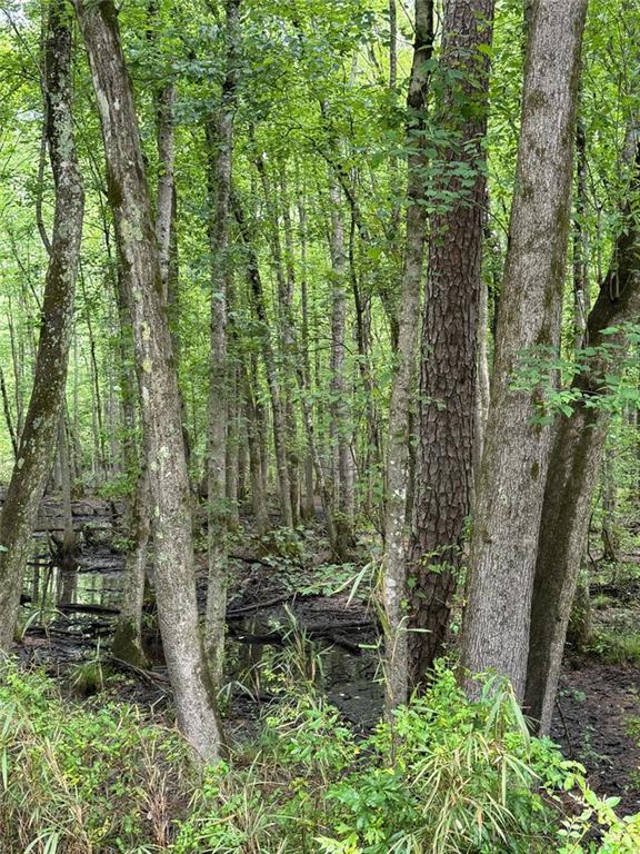 0 Friendship Church Road Southwest Marietta, GA 30064 - Photo 3 of 10 a view of outdoor space and garden