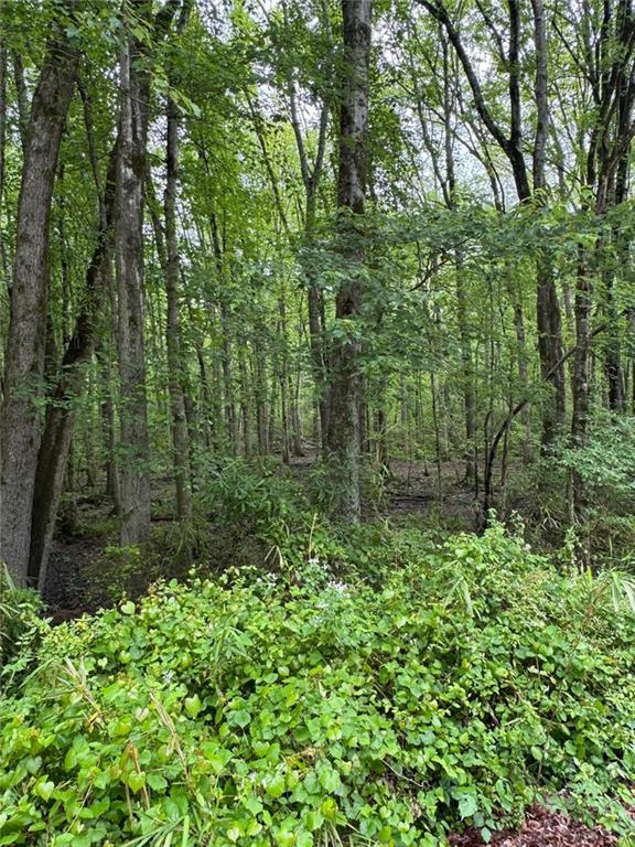 0 Friendship Church Road Southwest Marietta, GA 30064 - Photo 4 of 10