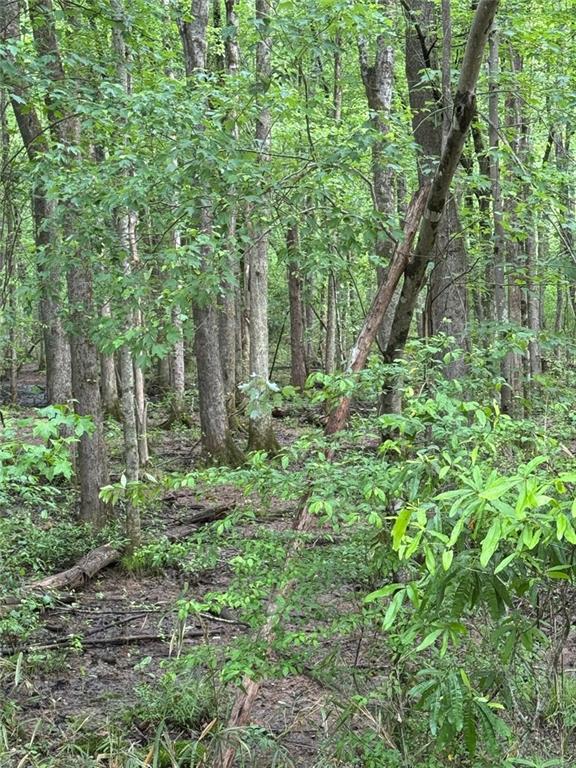 0 Friendship Church Road Southwest Marietta, GA 30064 - Photo 5 of 10 a backyard of a house with lots of green space