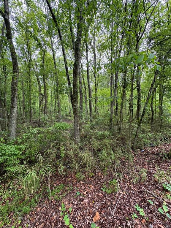 0 Friendship Church Road Southwest Marietta, GA 30064 - Photo 6 of 10 a view of outdoor space and trees