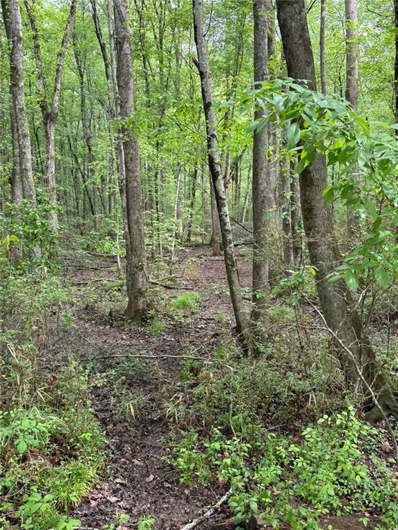 0 Friendship Church Road Southwest Marietta, GA 30064 - Photo 7 of 10 a backyard of a house with lots of green space