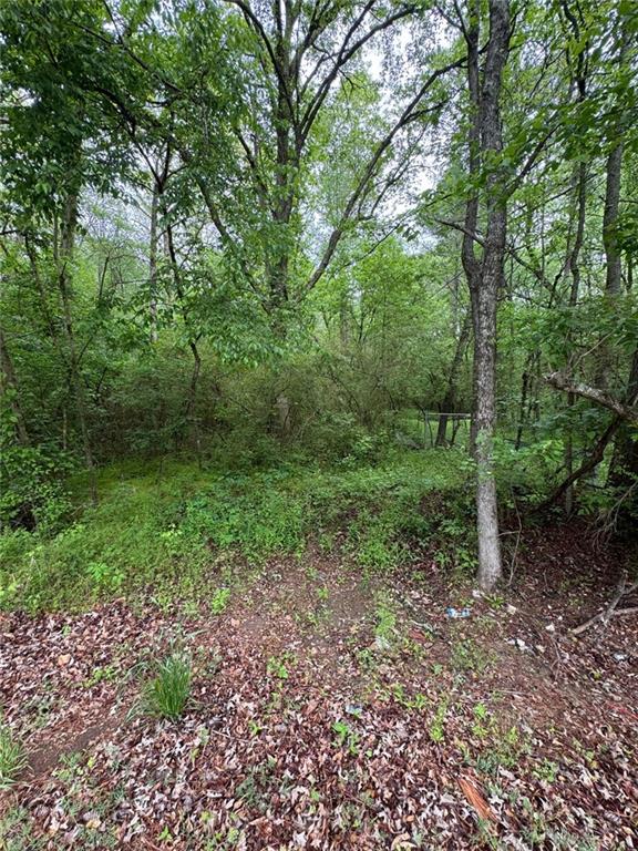 0 Friendship Church Road Southwest Marietta, GA 30064 - Photo 8 of 10 a big yard with lots of green space and deers