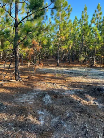 $63,500 | 17 Payne Pond Road, Unit PPF 17, Kershaw, SC 29067