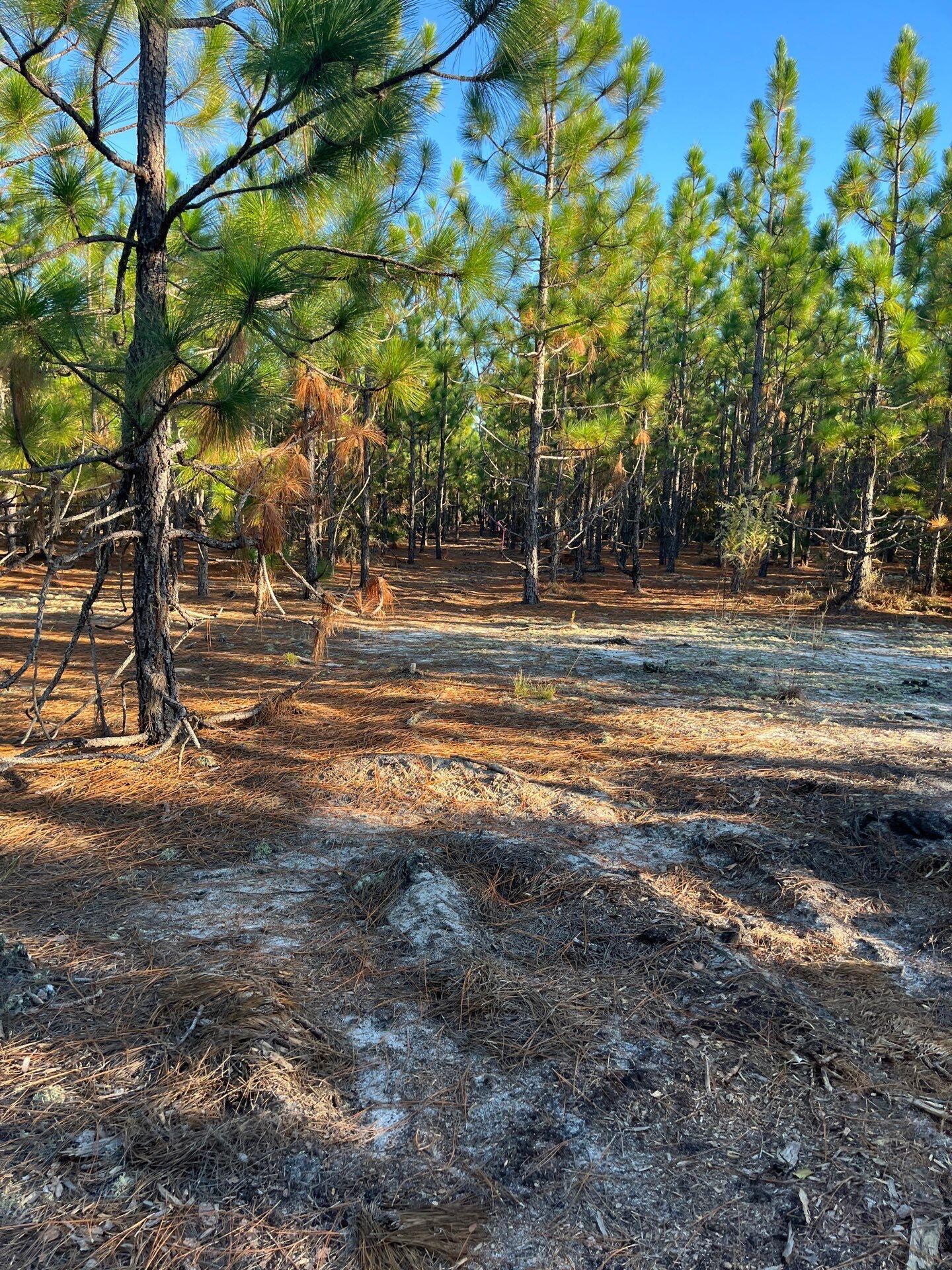 19-Oct 15 2025 09_15pm-BecG