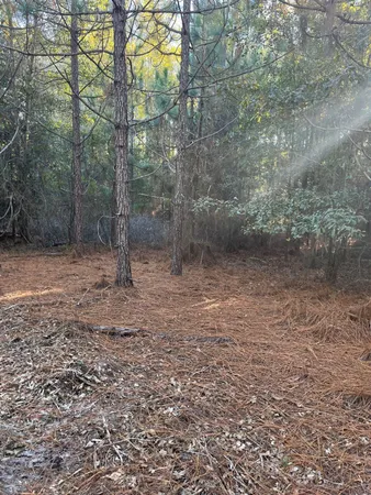 $63,500 | 17 Payne Pond Road, Unit PPF 17, Kershaw, SC 29067