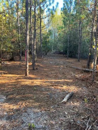 $63,500 | 17 Payne Pond Road, Unit PPF 17, Kershaw, SC 29067