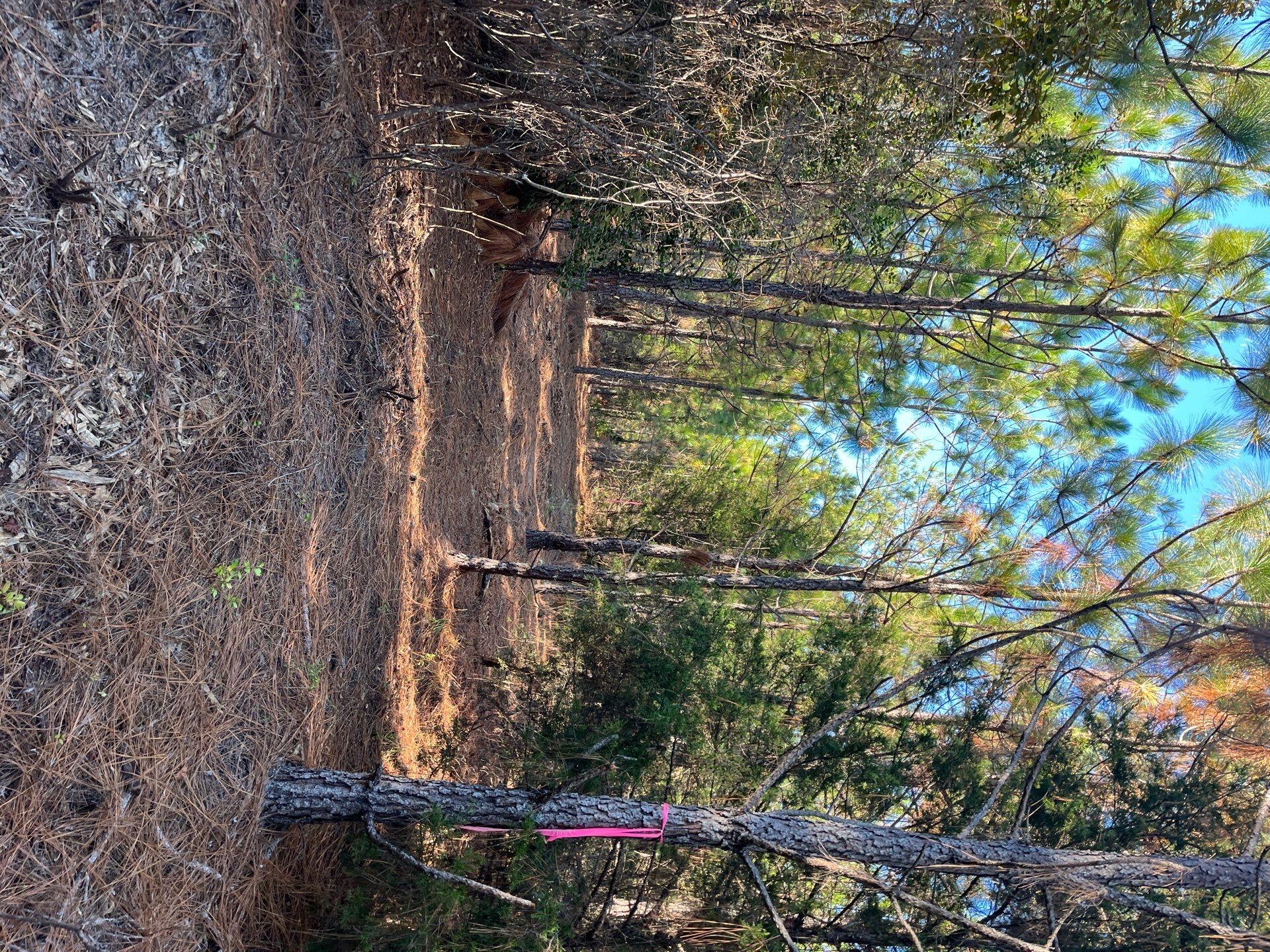 17 Payne Pond Road, Unit PPF 17 Kershaw, SC 29067 - Photo 13 of 19 7-Oct 15 2025 09_09pm-SY1w