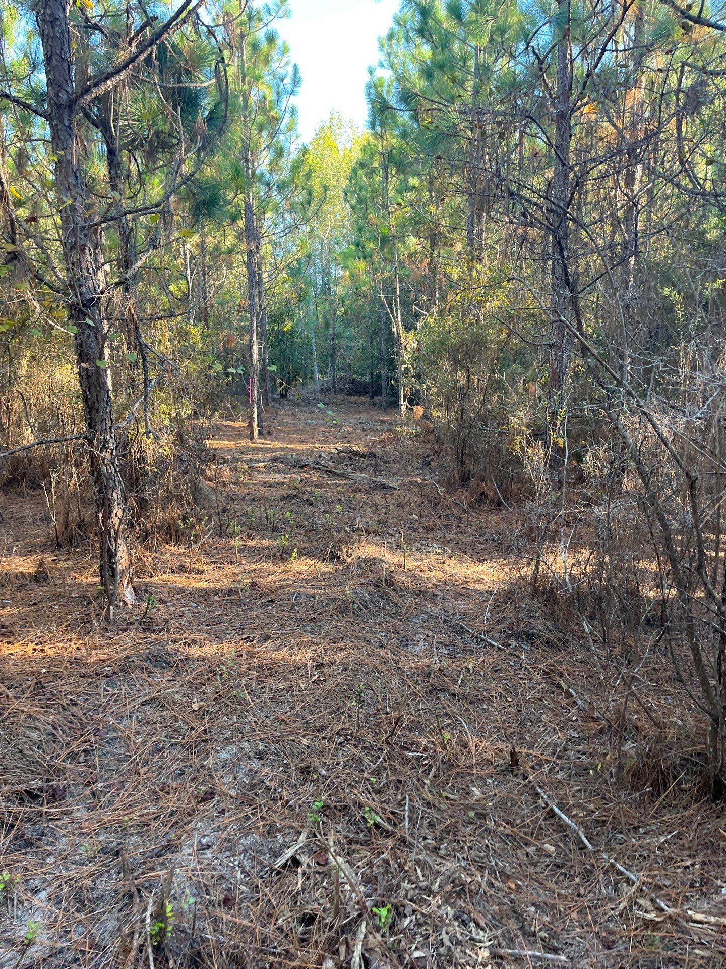 17 Payne Pond Road, Unit PPF 17 Kershaw, SC 29067 - Photo 14 of 19 6-Oct 15 2025 09_09pm-iFav