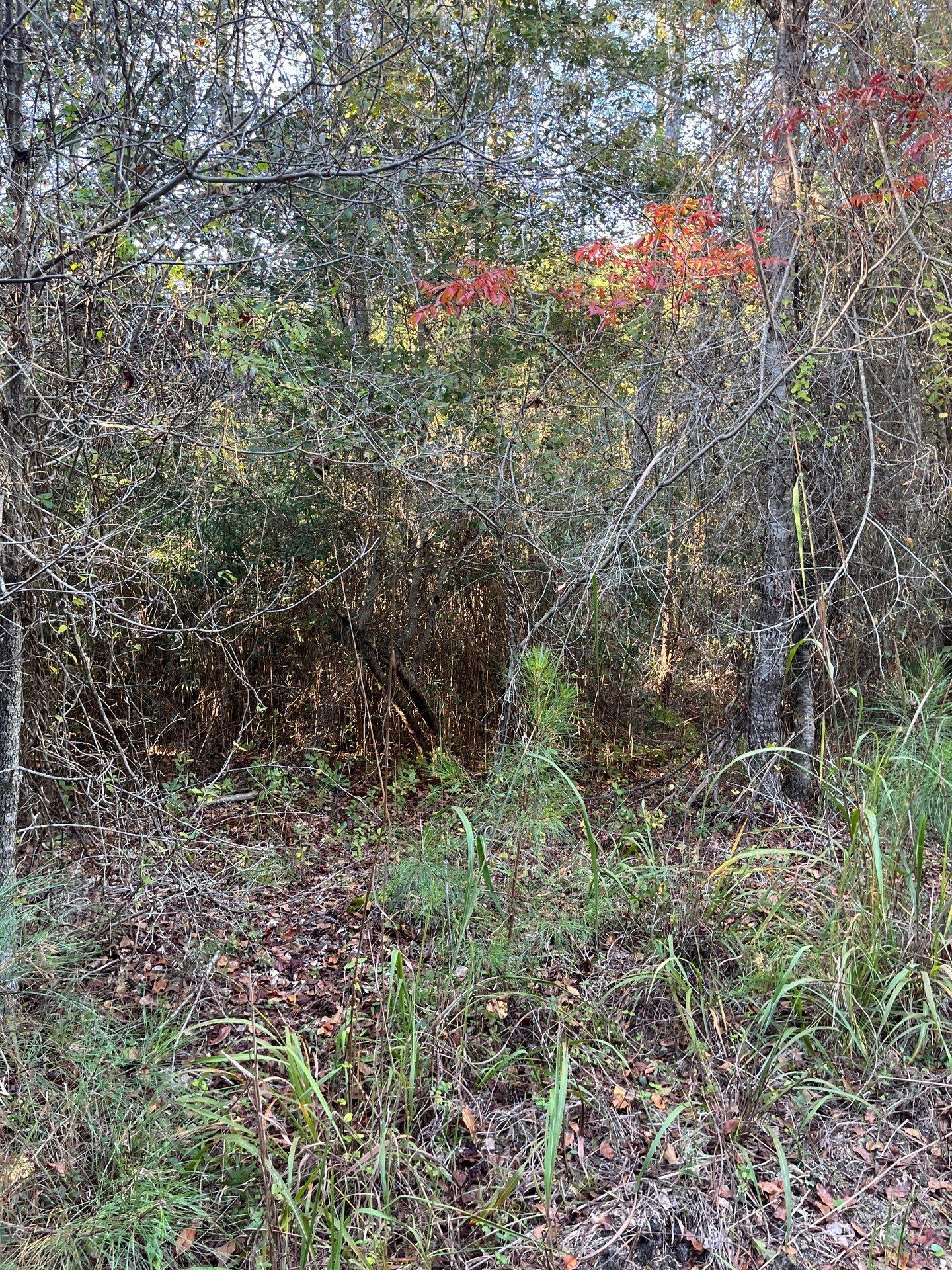 17 Payne Pond Road, Unit PPF 17 Kershaw, SC 29067 - Photo 15 of 19 5-Oct 15 2025 09_03pm-Xksf