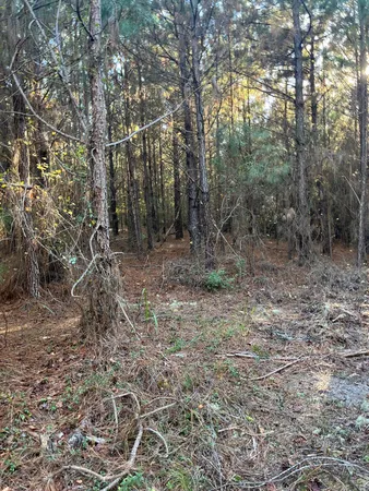 $63,500 | 17 Payne Pond Road, Unit PPF 17, Kershaw, SC 29067