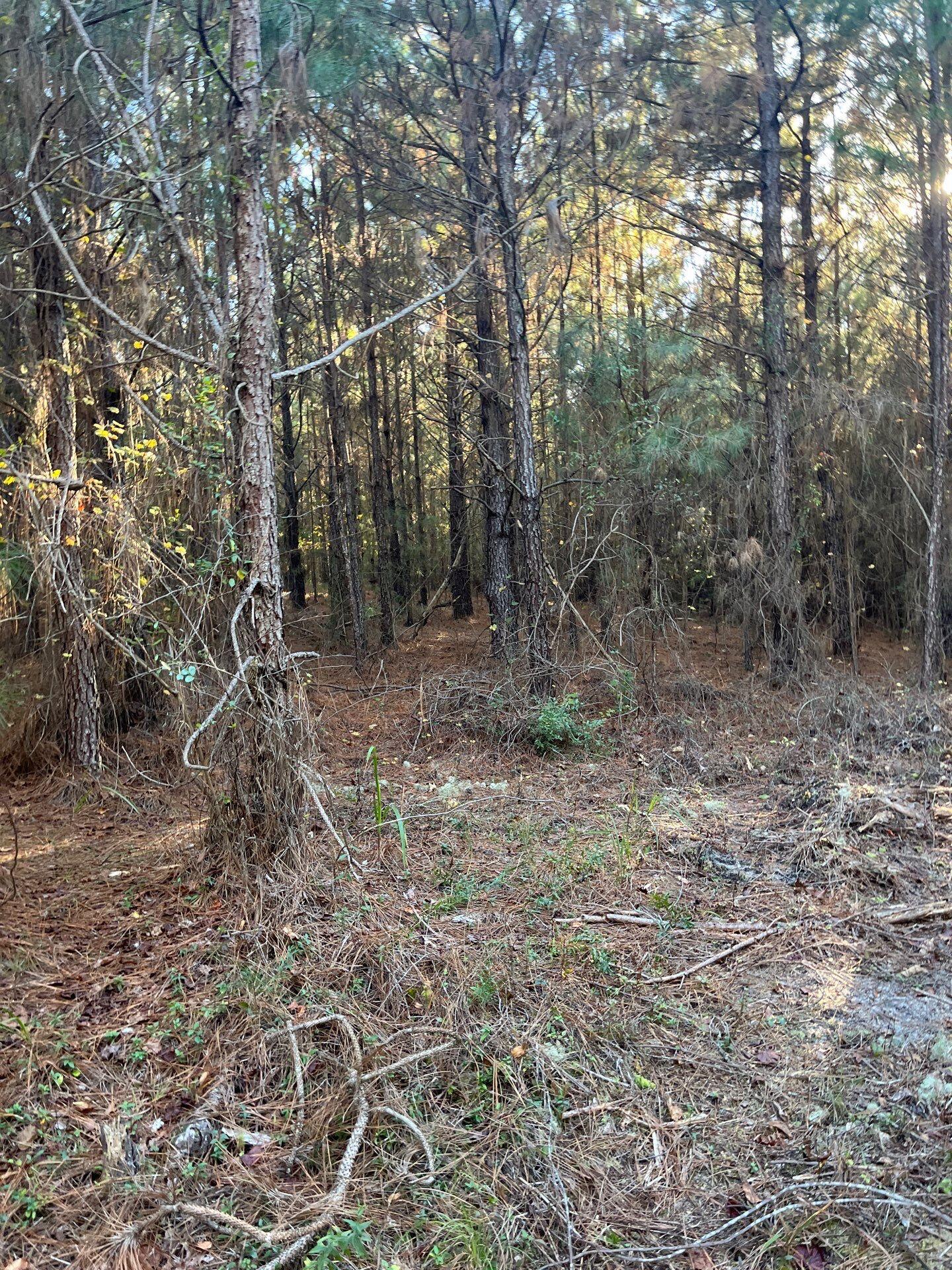 17 Payne Pond Road, Unit PPF 17 Kershaw, SC 29067 - Photo 16 of 19 4-Oct 15 2025 09_02pm-vrM6